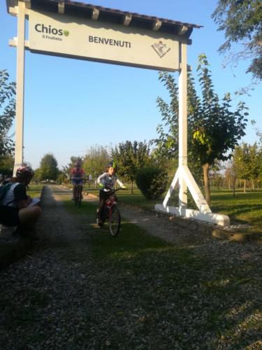 Bici (3) (1)